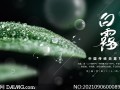 白露短视频如何制作，白露短视频如何制作出来的
