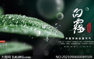 白露短视频如何制作，白露短视频如何制作出来的